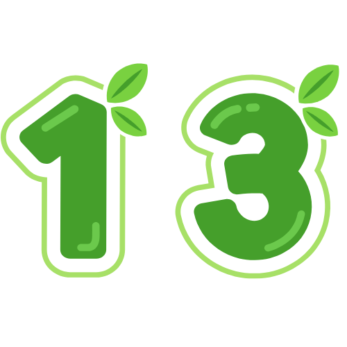 13