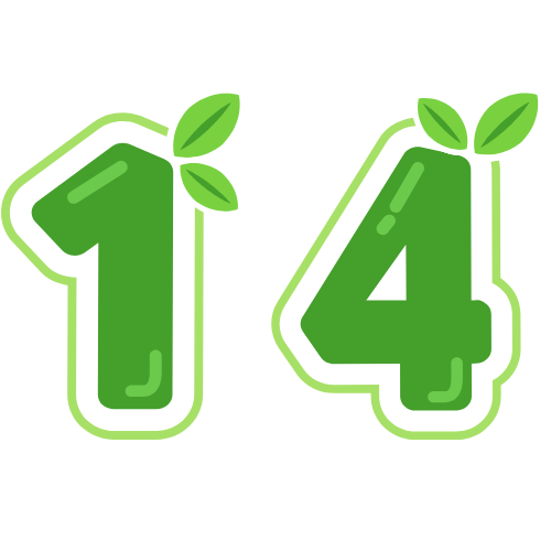 14