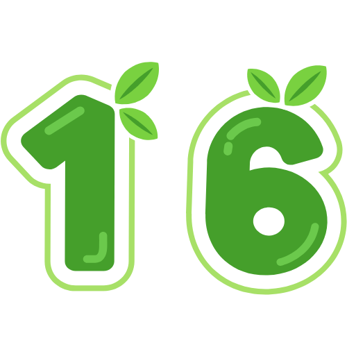 16